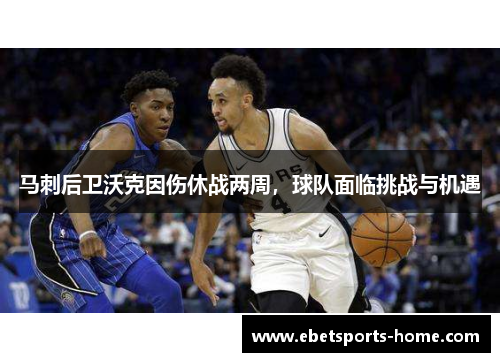 马刺后卫沃克因伤休战两周，球队面临挑战与机遇
